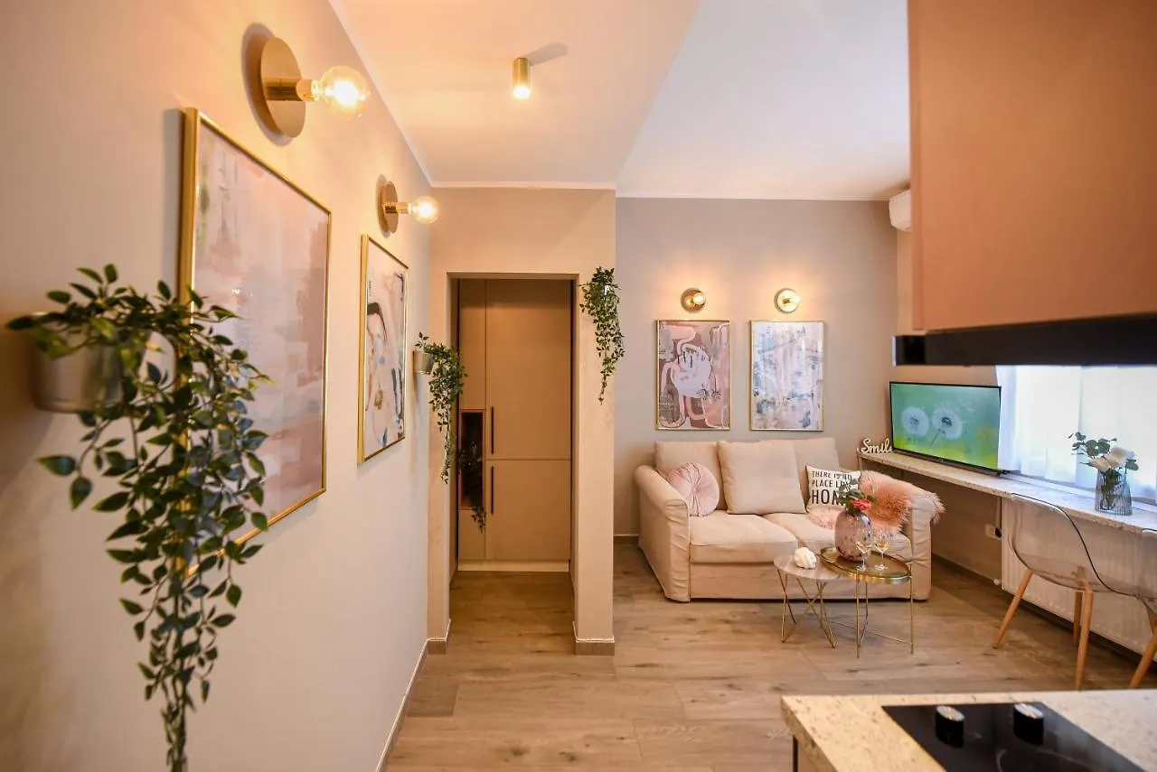 公寓 Sweet Blossom - Lovely 1Br Apt In The City Center 布加勒斯特
